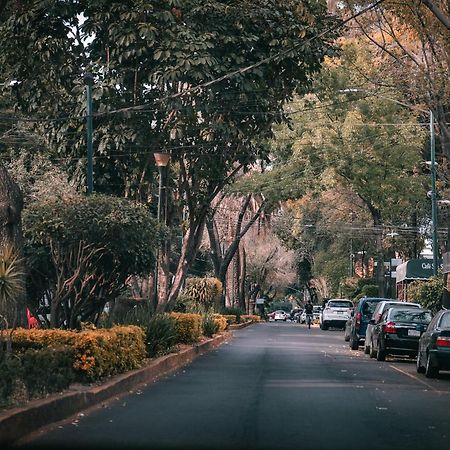Modern Studio, Rooftop Charm, Cdmx Center2 Mexikóváros Kültér fotó