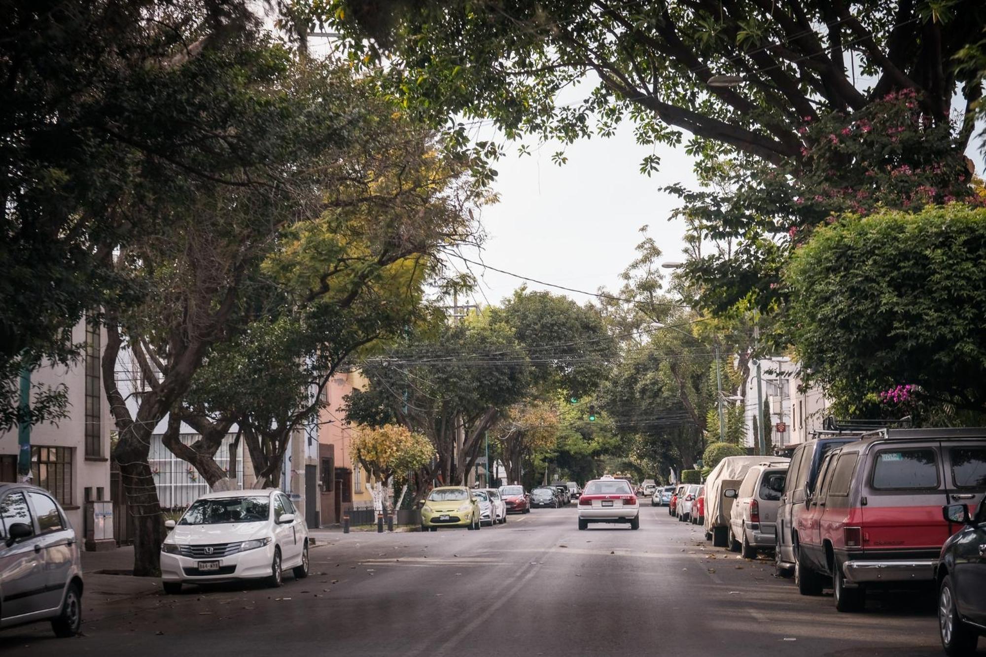 Modern Studio, Rooftop Charm, Cdmx Center2 Mexikóváros Kültér fotó